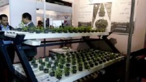 Read more about the article SCHADUF INSTALLS HYDROPONIC UNITS FOR 500 HELWAN FAMILIES