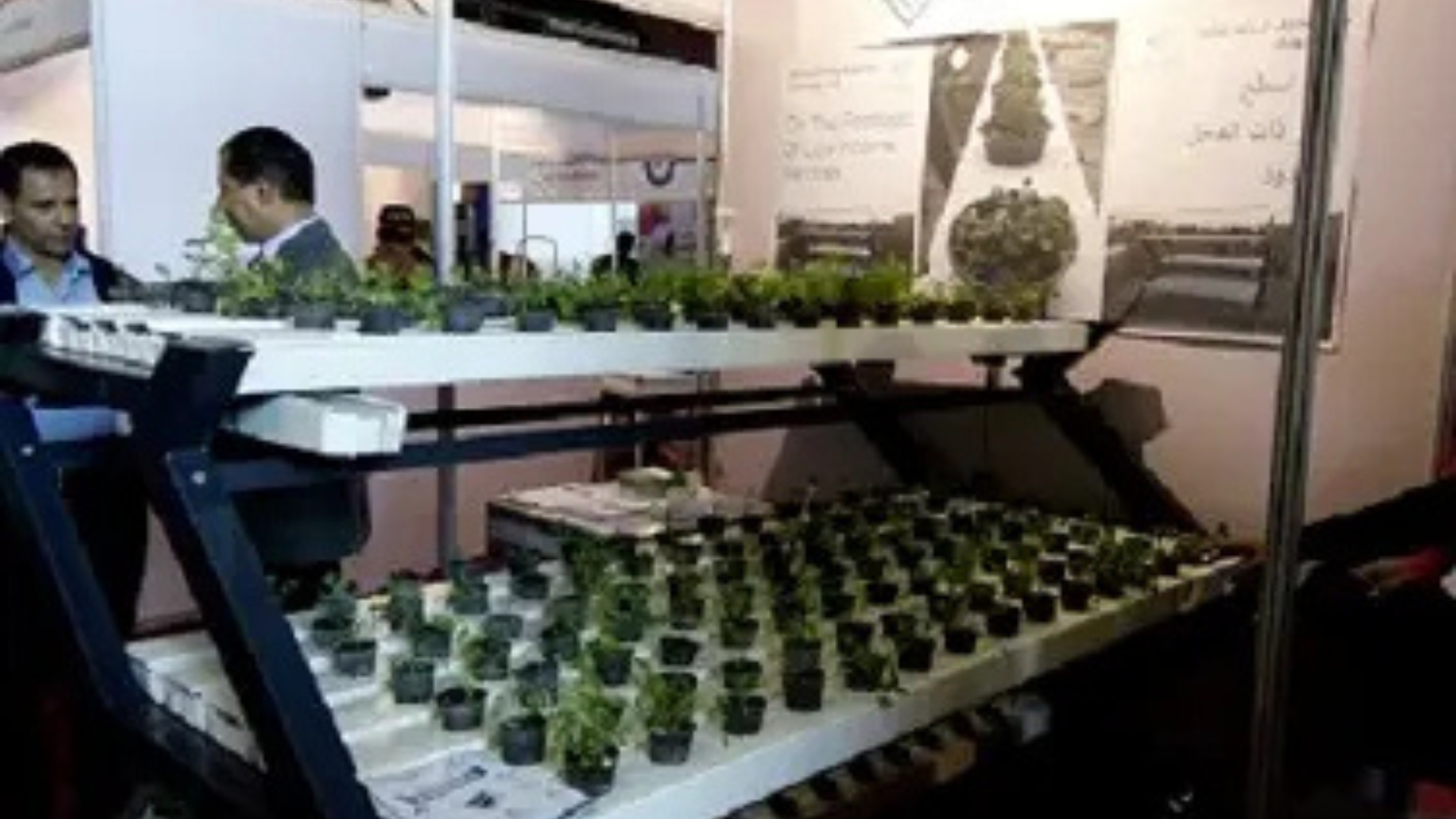 Read more about the article SCHADUF INSTALLS HYDROPONIC UNITS FOR 500 HELWAN FAMILIES