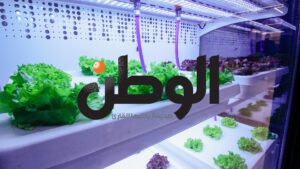 Read more about the article FRIDGE GROWS FRESH VEGGIES INSIDE SUPERMARKETS IN EGYPT