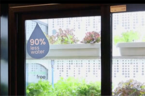 Read more about the article FARMED HERE: EGYPT’S HYDROPONIC FRIDGE BRINGS FRESH VEGGIES DIRECTLY TO CUSTOMERS