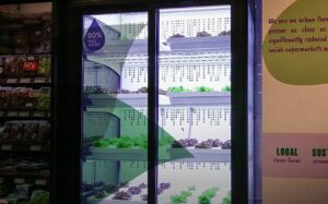 Read more about the article HYDROPONIC FRIDGE GROWS FRESH VEGGIES IN EGYPTIAN GROCERY STORES