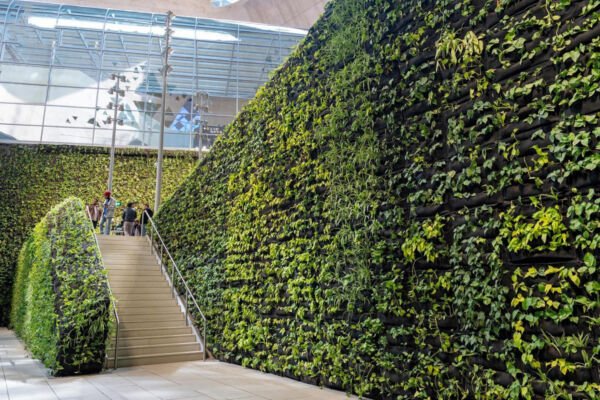 2013: Greening the City: Introducing Living Green Walls