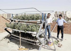 Read more about the article “Schaduf” uses technology to establish 500 farms in Helwan over 3 years.