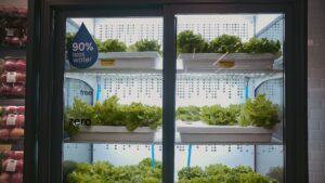 Read more about the article Supermarket uses hydroponic farm to grow veggies onsite Customers get fresher produce while helping save the planet.