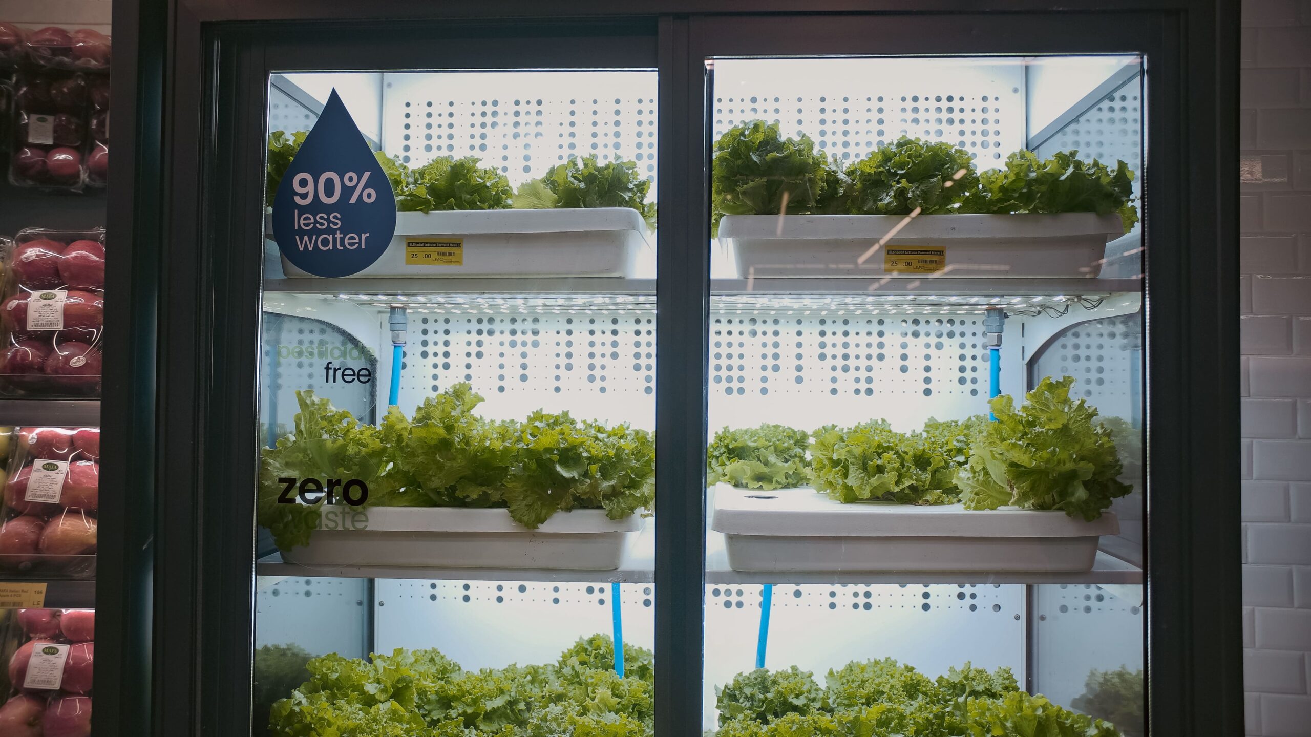 You are currently viewing Supermarket uses hydroponic farm to grow veggies onsite Customers get fresher produce while helping save the planet.