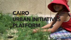 Read more about the article Schaduf: Transforming Urban Rooftops with Green Innovation and Sustainable Farming