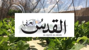 Read more about the article A New Cairo Startup Turns Walls and Rooftops into Lush Green Spaces to Combat Pollution and Support Low-Income Communities