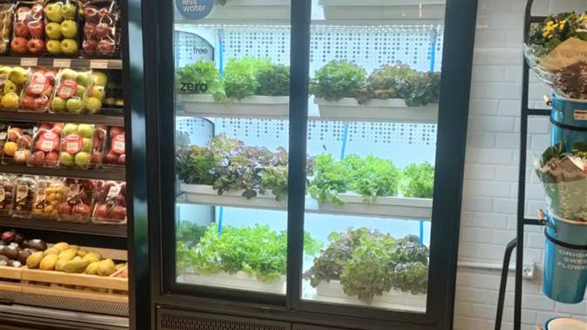 Read more about the article “Farmed Here”: Schaduf Delivers Fresh Produce Directly to Stores