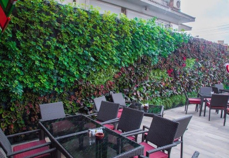 Read more about the article Schaduf: Greening Egypt’s Rooftops Through Sustainable Hydroponic Innovation