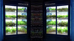 Read more about the article A new hydroponic growing system, growing directly in the supermarket