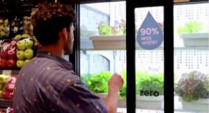 Read more about the article LETTUCE GROWN INSIDE CAIRO SUPERMARKETS IN HYDROPONIC FRIDGES