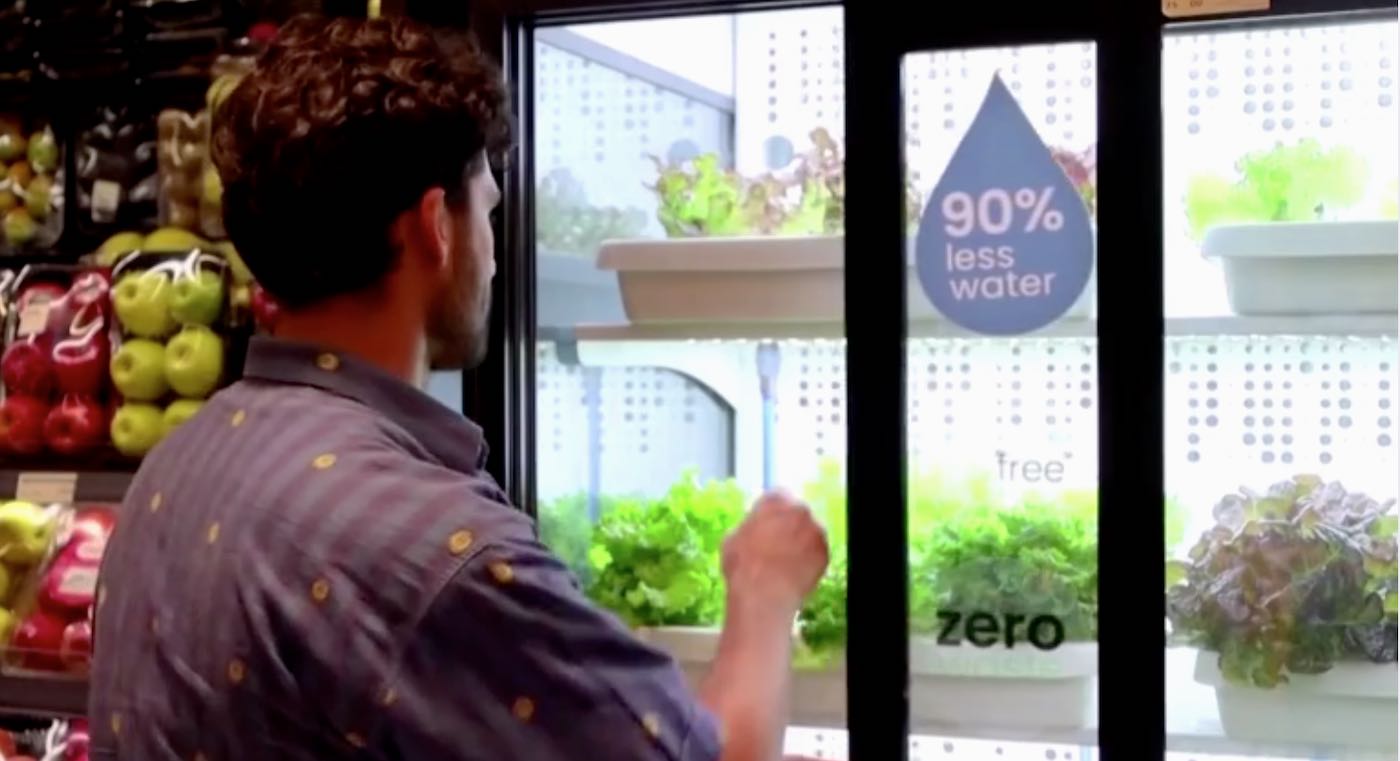 Read more about the article LETTUCE GROWN INSIDE CAIRO SUPERMARKETS IN HYDROPONIC FRIDGES